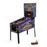 Aerosmith Pinball Premium Model