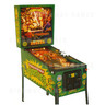 Teenage Mutant Ninja Turtles TMNT Pinball Machine