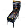 Batman Pinball (2008)