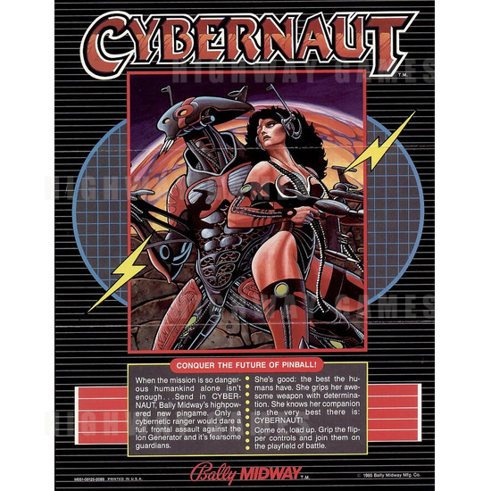 Cybernaut - Brochure1 198KB JPG