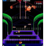 Donkey Kong 3 - screen shot 3 28kb JPG