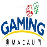 Macau Gaming 2007 Update